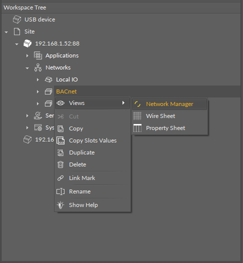 17 Opening BACnet Network Manager.png