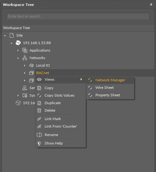 17 Opening BACnet Network Manager.png